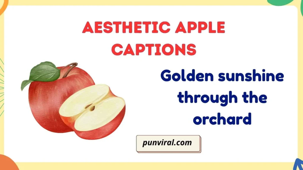 Aesthetic Apple Captions