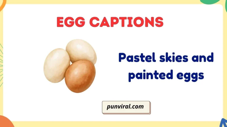 egg captions